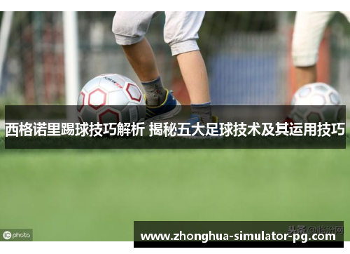 西格诺里踢球技巧解析 揭秘五大足球技术及其运用技巧
