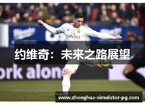 约维奇：未来之路展望